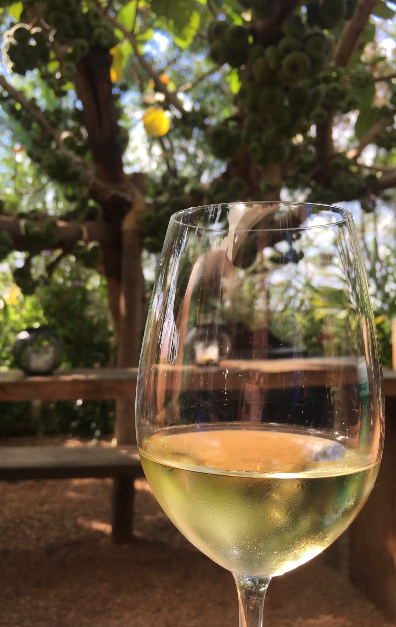The Surprising Health Risks Of "Moderate" Drinking - j44xgvb